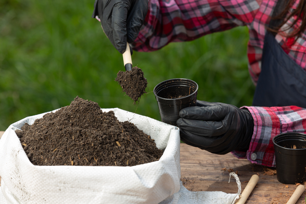 Test soil quality before investing into real estate